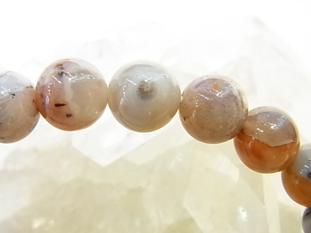 BAJ0009F åȥ֥쥹åȡå