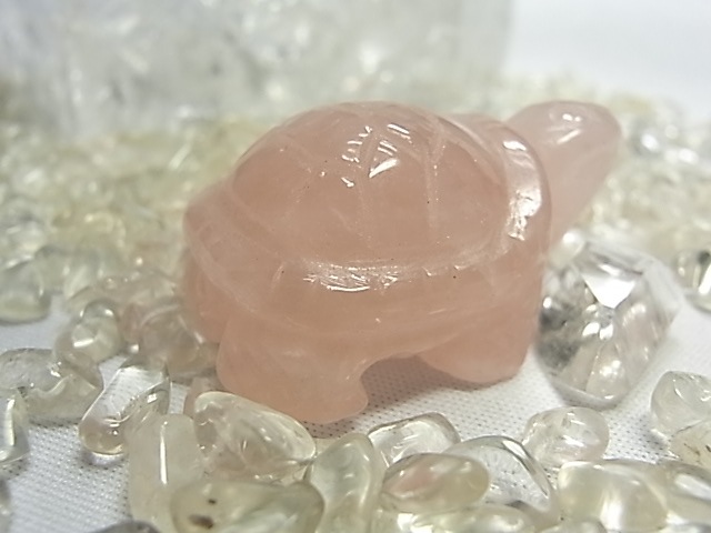 ��������������<����>