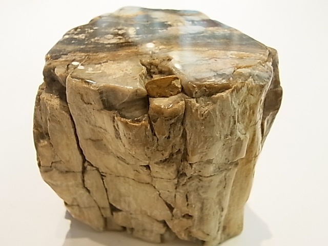 GK00015F  �ڥȥ�ե����ɥ��åɸ��С��ڴ����С�