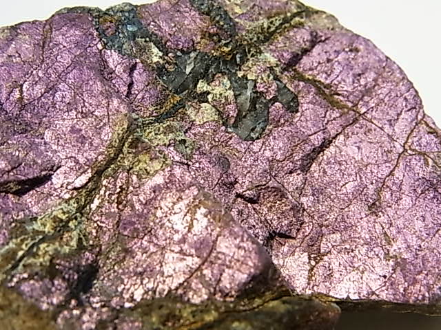 GK00018F �ѡ��ץ饤�ȸ���  �ڴ����Сۡ�