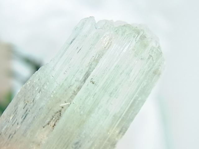 GK00033F ���ȥ�ե����󡡸��С��ڴ����С�