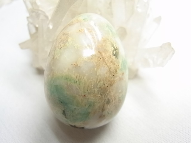 CF0007 �������