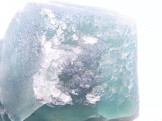 GF0027 ���꡼��ե����饤��