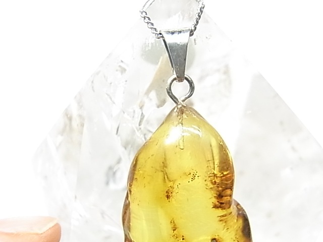 PF0089  ����С�