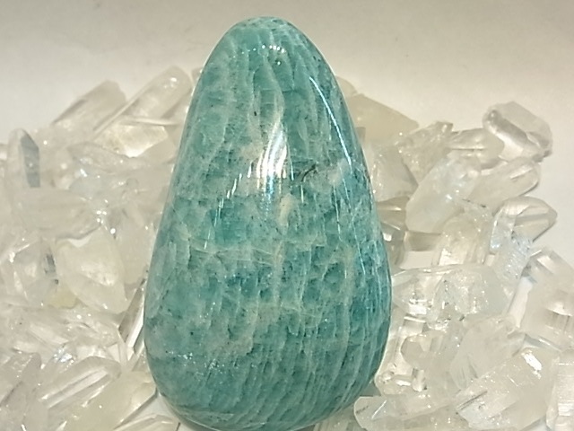 PRK00015F ���ޥ��ʥ��ȡ� �ݥ�å��塡(�ޥ��������뻺)