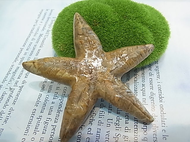 CY0024F �����ץ��ȡ���[�ҥȥ�]