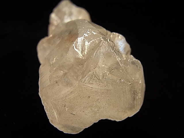 GK00071F �ҥޥ��徽�����������ꥹ���� ����