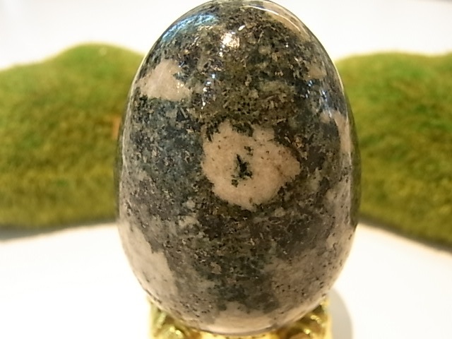 EK00011F �ץ쥻��֥롼���ȡ��󡡥��å���