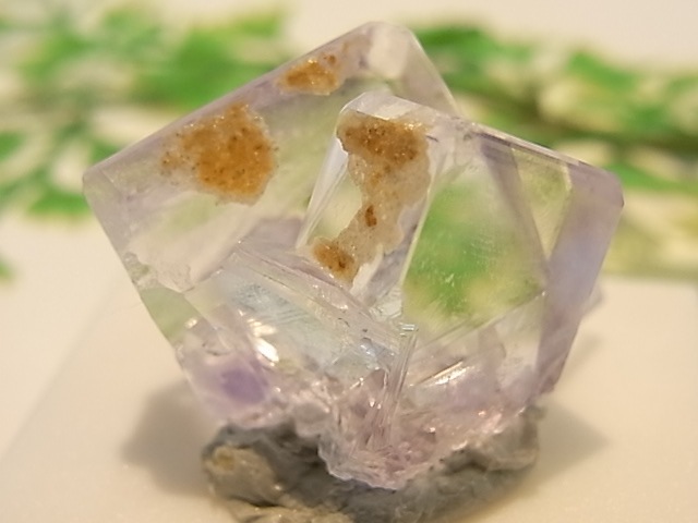 GK00073F �ե����饤�� ����(���ڥ���)