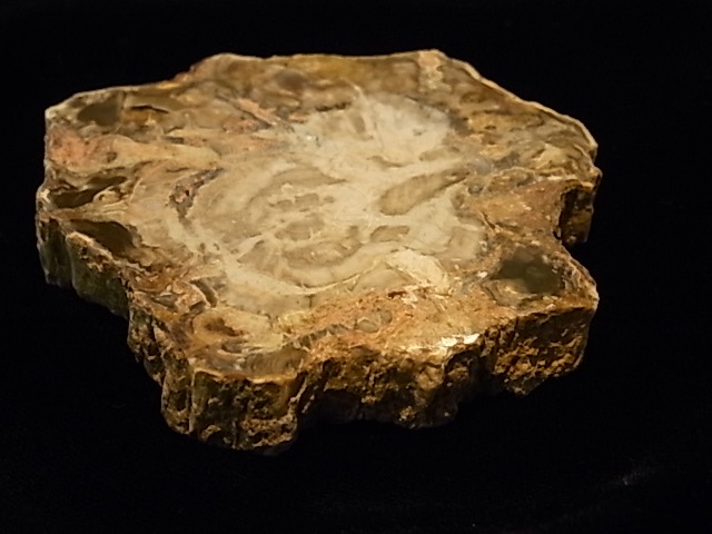 GK00085F  �ڥȥ�ե����ɥ��å� ���饤�����åȸ���(���꥾�ʻ�)���ڴ����Сۡ�