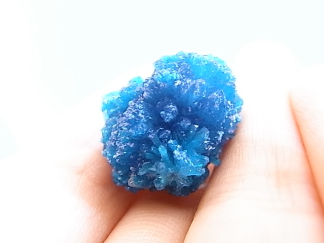 BU0125F ���Х󥵥��ȸ��С�����ɻ�