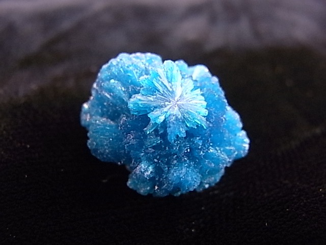 BU0128F ���Х󥵥��ȸ��С�����ɻ�