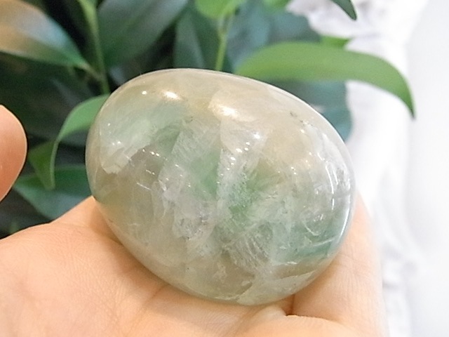 BU00132F �ե����饤�� ���å�