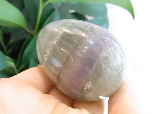 BU00133F �ե����饤�� ���å�