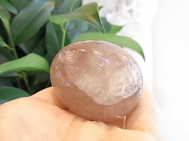 BU00134F �ե����饤�� ���å�