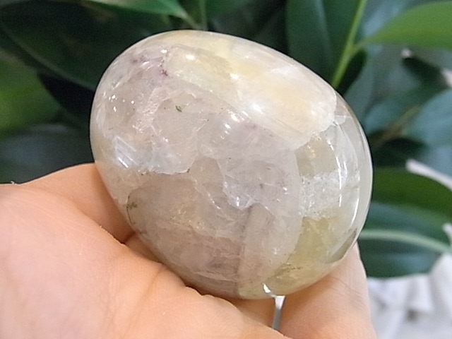 BU00136F �ե����饤�� ���å�