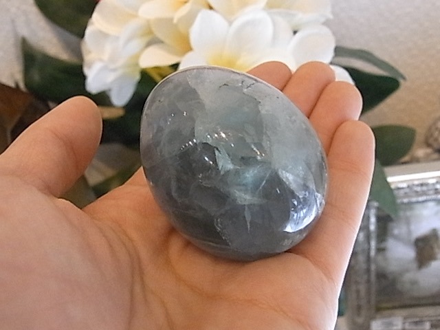 BU00140F �ե����饤�ȡ��ǥ�ɥ饤�����ꡡ���å�