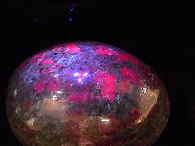 EK00027F Тӡ󥫥ʥȡå(ɻ)