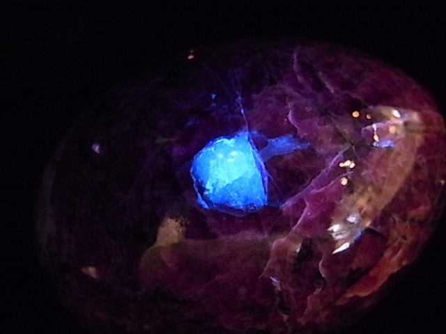 EK00029F ������Т�桼�ǥ����饤�ȡ����å���(��������)