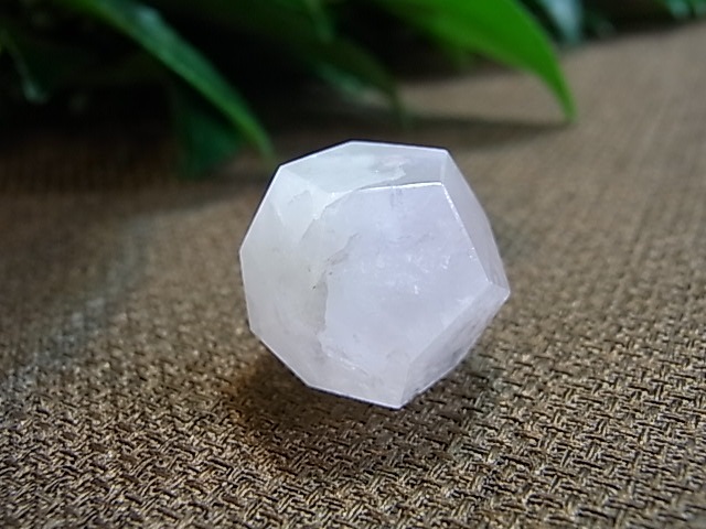 UE00094K �ץ�ȥ�Ω�Ρ�5�ĥ��å�