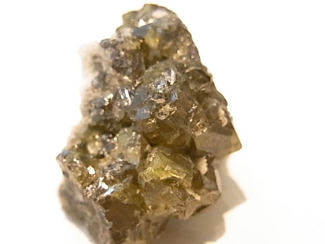 ��K00273F ���ե���饤�ȡ����С��ڴ����С�(�֥륬�ꥢ��)