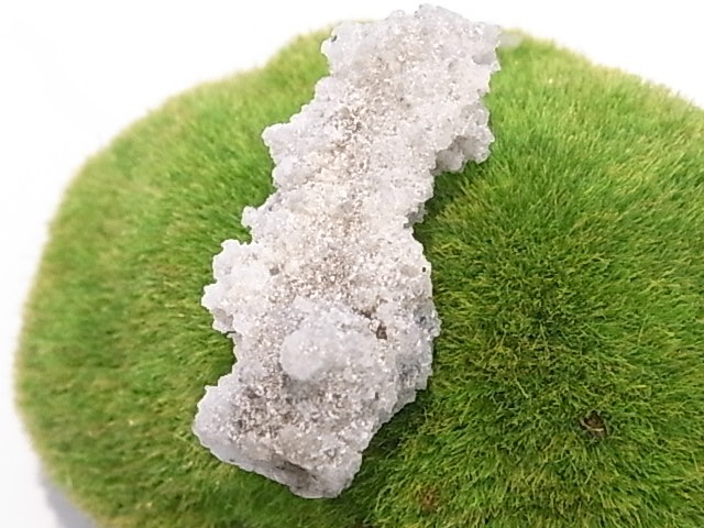 BU00206F �ե륰�饤��