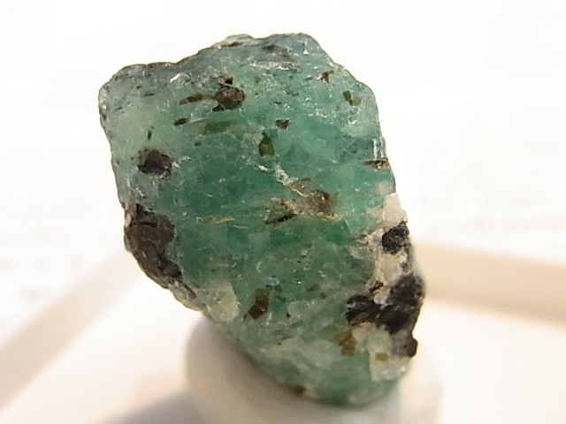 GK00289F ɸ (󥶥˥)