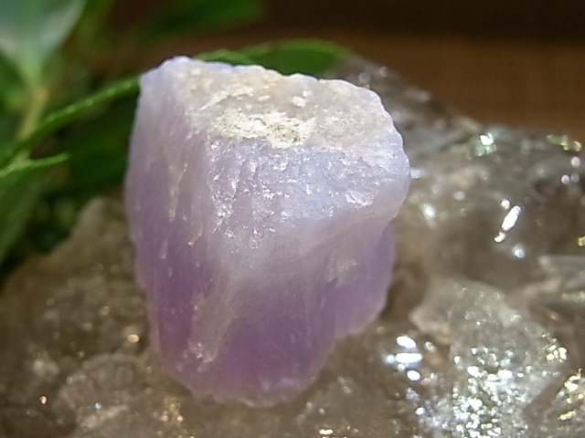 UE00107K�����᥸���ȡ��ϥ󥬥꡼��