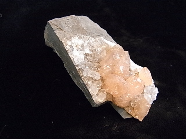BU00224 �ݥ�����С��륿���ȡ�����