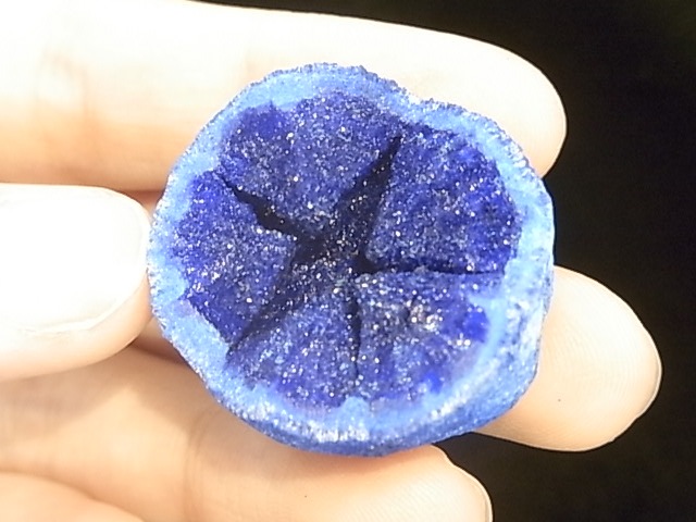 GA0006F �������� �����饤�ȸ���