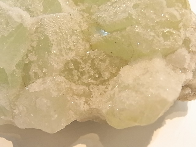 GA00053F���ɥ��롼�����ե����饤�� ����