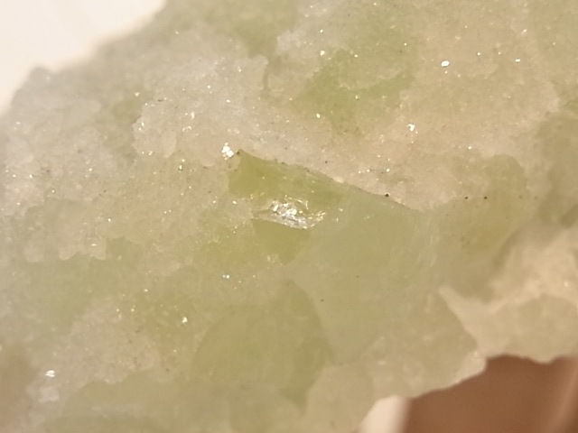 GA00054F���ɥ��롼�����ե����饤�� ����
