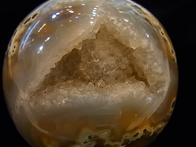 CCI0001F �ȥ쥸�㡼 �������� �ݶ̡��ɥ饴�󥢥����ȡ����ﾽƶ