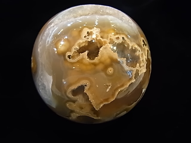 CCI0001F �ȥ쥸�㡼 �������� �ݶ̡��ɥ饴�󥢥����ȡ����ﾽƶ