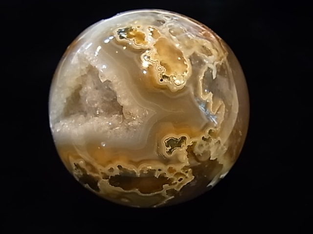 CCI0001F �ȥ쥸�㡼 �������� �ݶ̡��ɥ饴�󥢥����ȡ����ﾽƶ