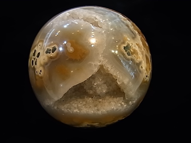 CCI0001F �ȥ쥸�㡼 �������� �ݶ̡��ɥ饴�󥢥����ȡ����ﾽƶ