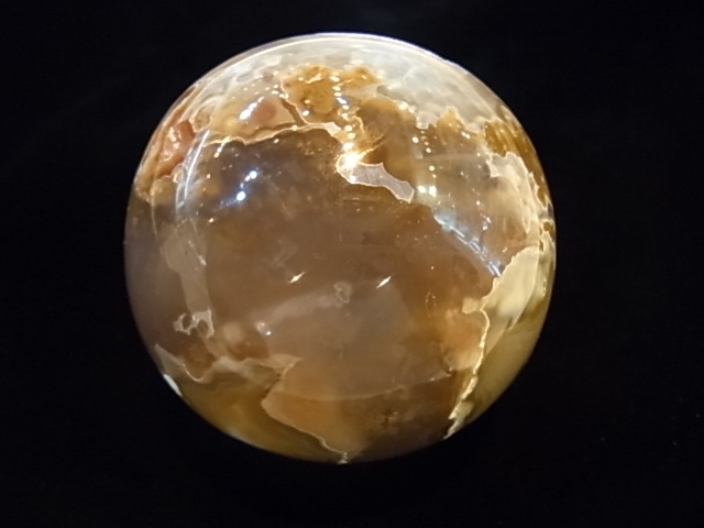 CCI0001F �ȥ쥸�㡼 �������� �ݶ̡��ɥ饴�󥢥����ȡ����ﾽƶ