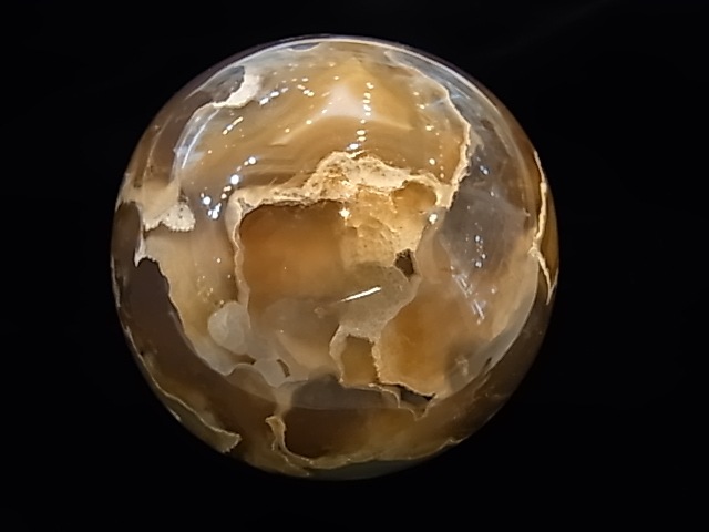 CCI0001F �ȥ쥸�㡼 �������� �ݶ̡��ɥ饴�󥢥����ȡ����ﾽƶ