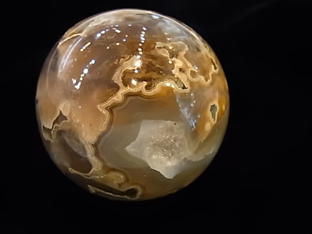 CCI0001F �ȥ쥸�㡼 �������� �ݶ̡��ɥ饴�󥢥����ȡ����ﾽƶ