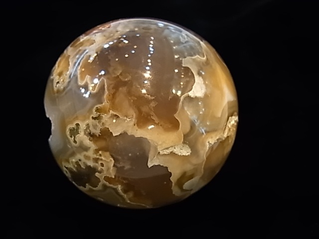 CCI0001F �ȥ쥸�㡼 �������� �ݶ̡��ɥ饴�󥢥����ȡ����ﾽƶ