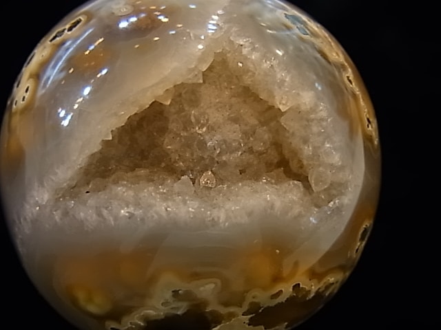 CCI0001F �ȥ쥸�㡼 �������� �ݶ̡��ɥ饴�󥢥����ȡ����ﾽƶ