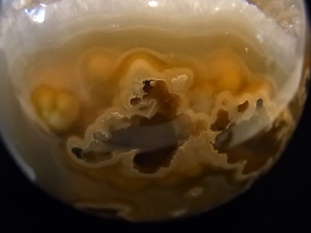 CCI0001F �ȥ쥸�㡼 �������� �ݶ̡��ɥ饴�󥢥����ȡ����ﾽƶ