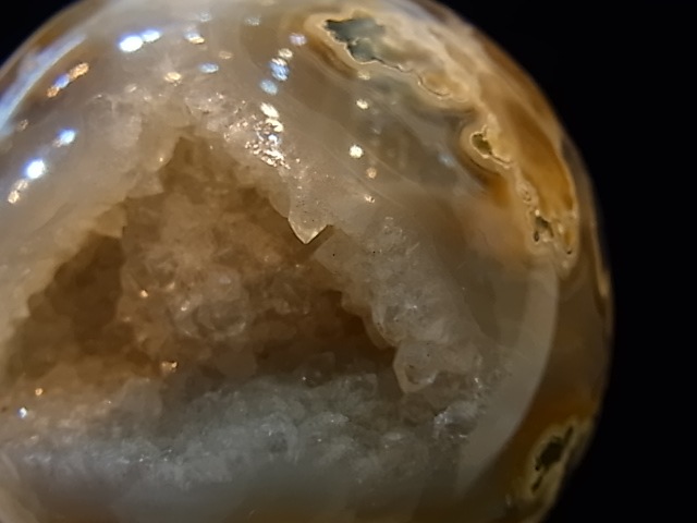 CCI0001F �ȥ쥸�㡼 �������� �ݶ̡��ɥ饴�󥢥����ȡ����ﾽƶ