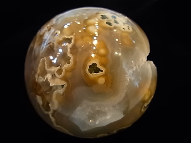 CCI0001F �ȥ쥸�㡼 �������� �ݶ̡��ɥ饴�󥢥����ȡ����ﾽƶ