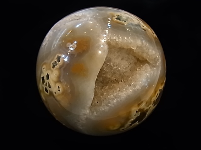 CCI0001F �ȥ쥸�㡼 �������� �ݶ̡��ɥ饴�󥢥����ȡ����ﾽƶ