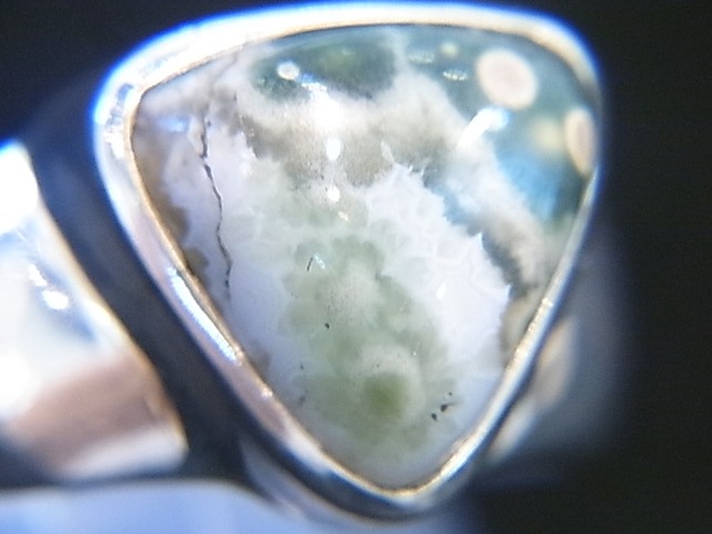 RA00047F����������󥸥㥹�ѡ� ����С����