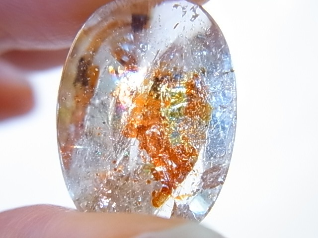 GAJ0013F ���ꥹ���륢�����󡡥롼��