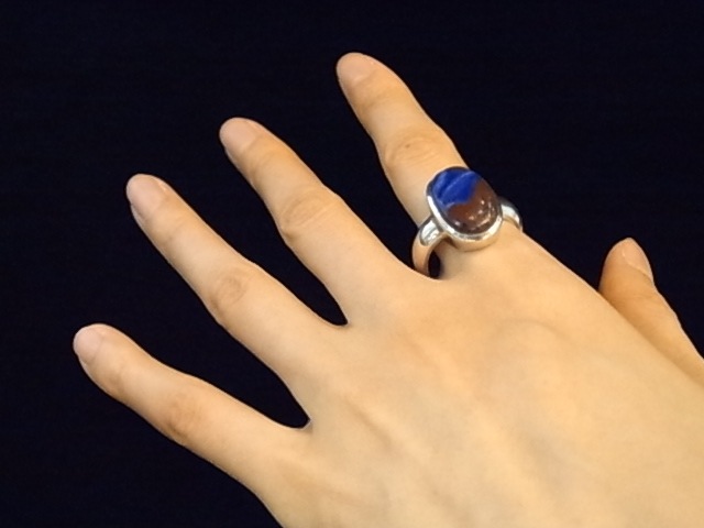 RKM0013F���֥롼�����饤�ȡ�����С����