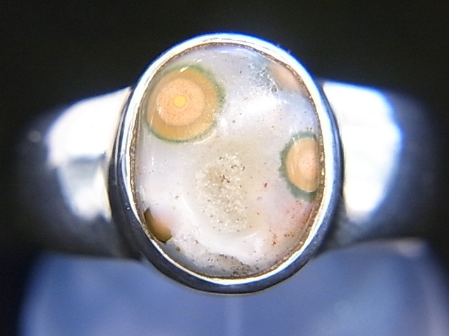 RA00050F����������󥸥㥹�ѡ�������С����