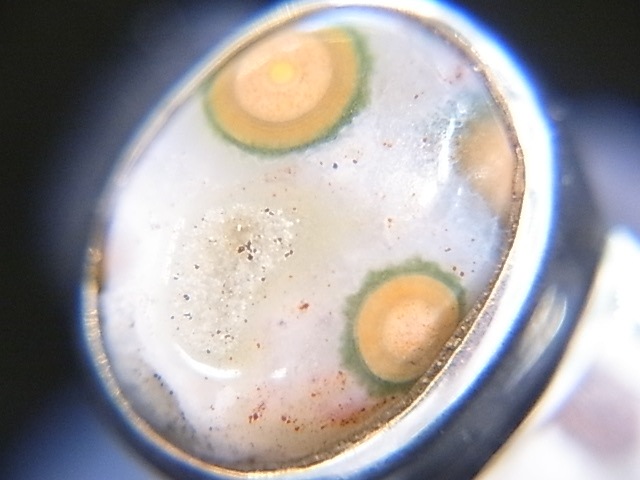 RA00050F����������󥸥㥹�ѡ�������С����